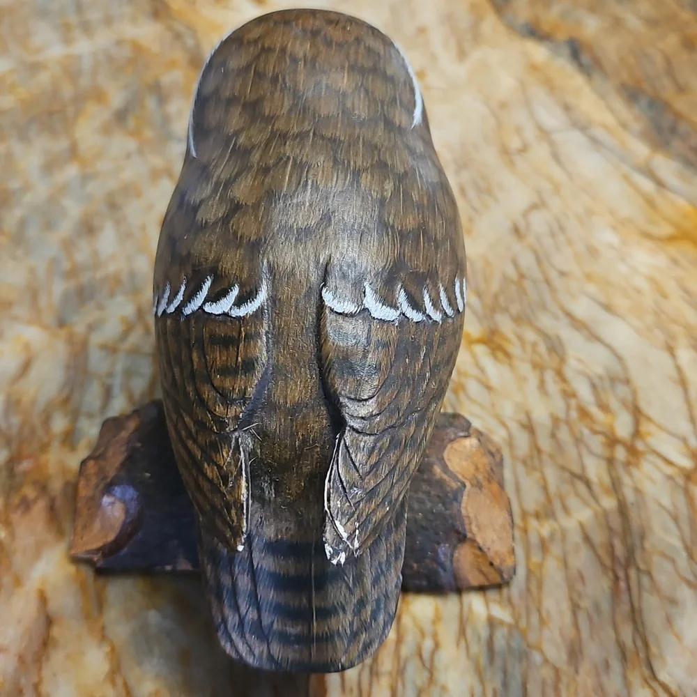 Saw Whet Owl on perch